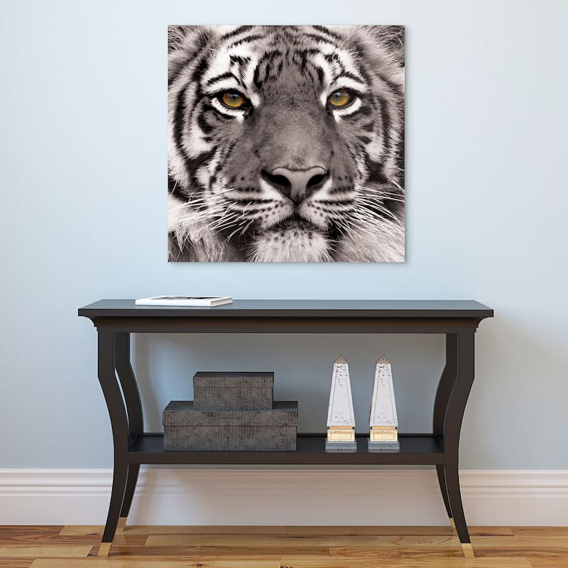 "Eye of the Tiger" Frameless Free Floating Tempered Glass Panel Graphic Wall Art