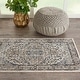 preview thumbnail 75 of 107, Nourison Concerto Classic Persian Medallion Area Rug.