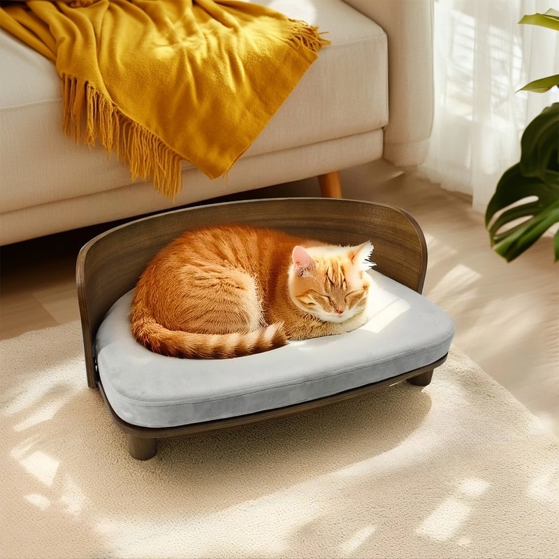 Elevated Dog Bed Curved Wood with Waterproof Soft Cozy Cushion Stool