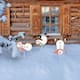 Option Snowman