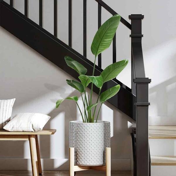 hanging plant stands Large Vertical Wave Air Plant Hanger, Air plant holder, Hanging Plante