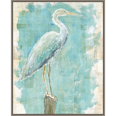 Coastal Egret I v2 by Sue Schlabach Framed Canvas Wall Art Print