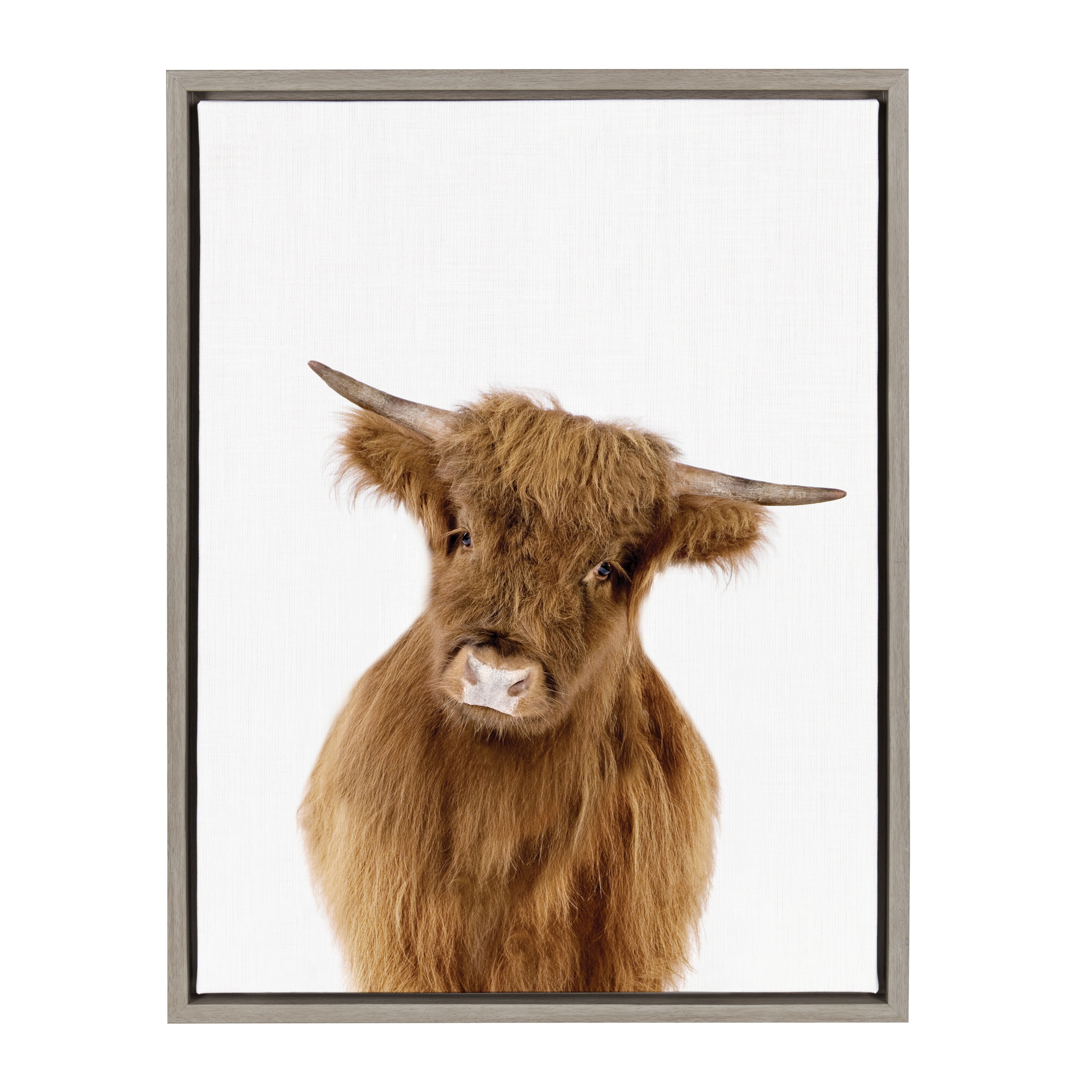 Sylvie Baby Highland Calf Animal Print Framed Canvas by Amy Peterson