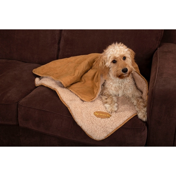 Scruffs Snuggle 2024 leadctr