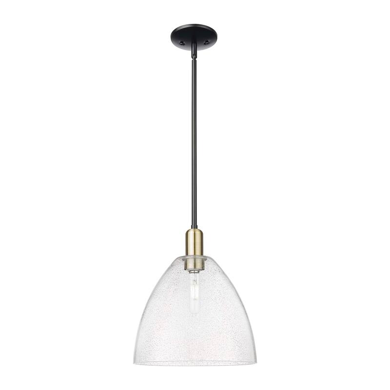 Innovations Lighting Endless Possibilities Arcadia - Bristol - 1 Light 12" Stem Hung Mini Pendant - Black Antique Brass/Seedy