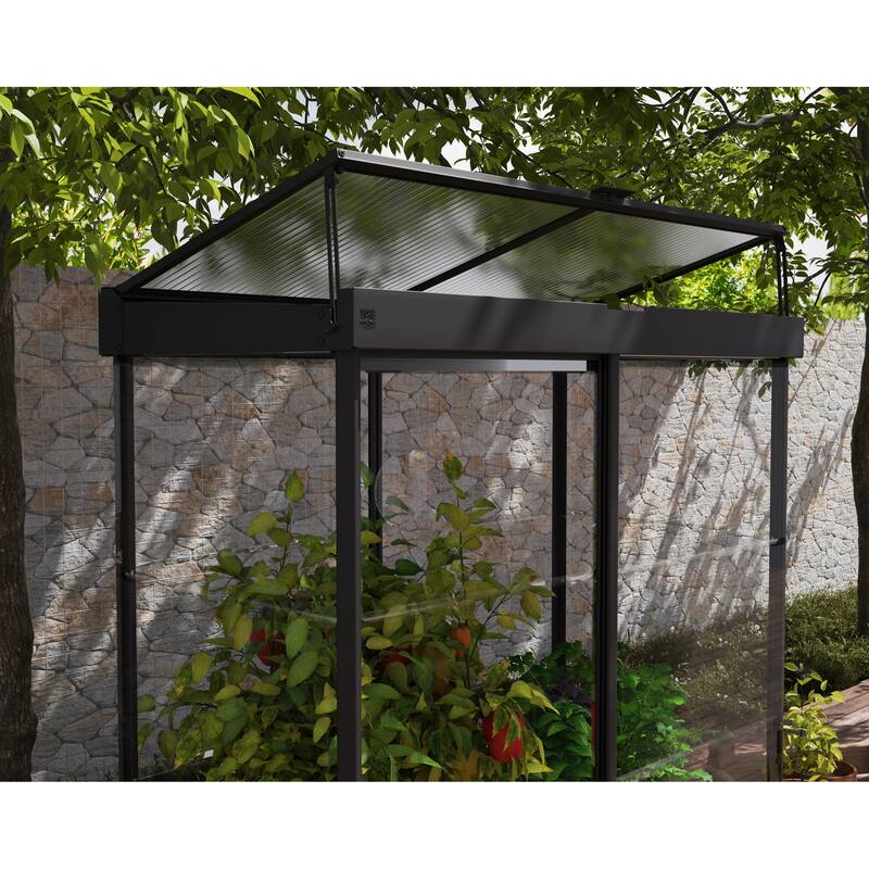 Ivy 4 ft. x 2 ft. Black/Clear Mini Greenhouse Kit - 4ft. x 2ft.