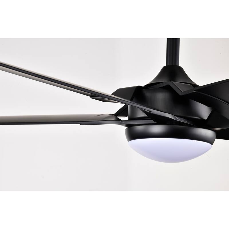 Angus 5-Blade Lighted Ceiling Fan with LED Lamp with Remote