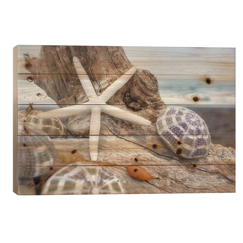 Crescent Beach Shells VII Print On Wood by Alan Blaustein - Multi-Color - 18x26x1.5