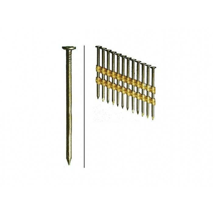 Shop Hillman 461742 Smooth Shank Framing Nails Brite 3 1 4 X