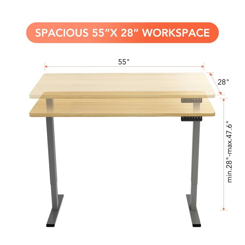 FLEXISPOT 55 x 28 Home Office Standing Desk Electric Height Adjustable Desk with LED Memory Control
