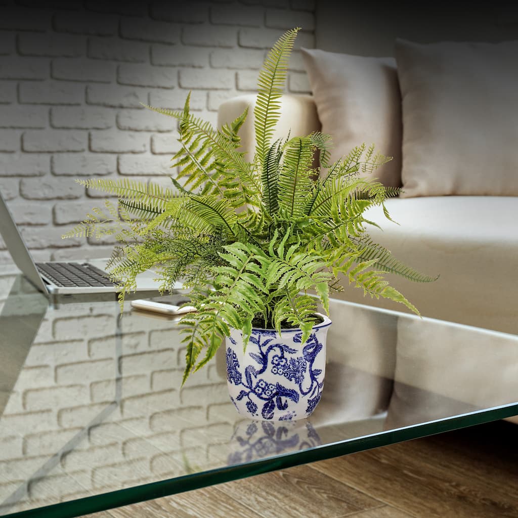 Plastic Natural Touch Mixed Fern In Ceramic Pot 20'' - 20"