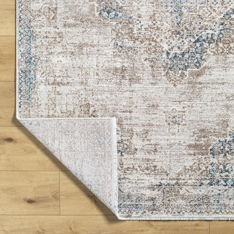 Noyes Traditional Medallion Area Rug