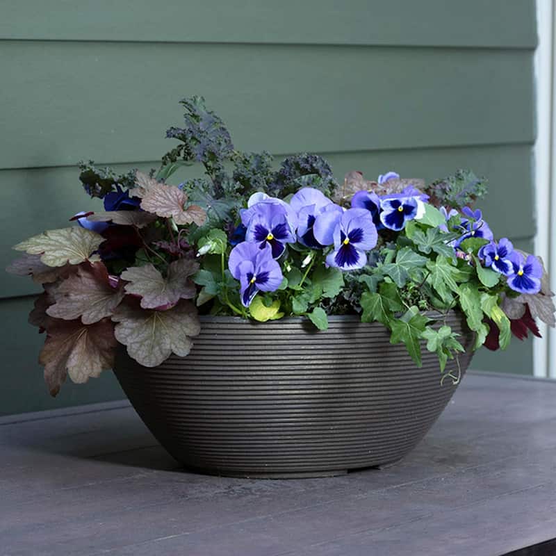 Delano Indoor Outdoor Oval-shaped Planter Bowl