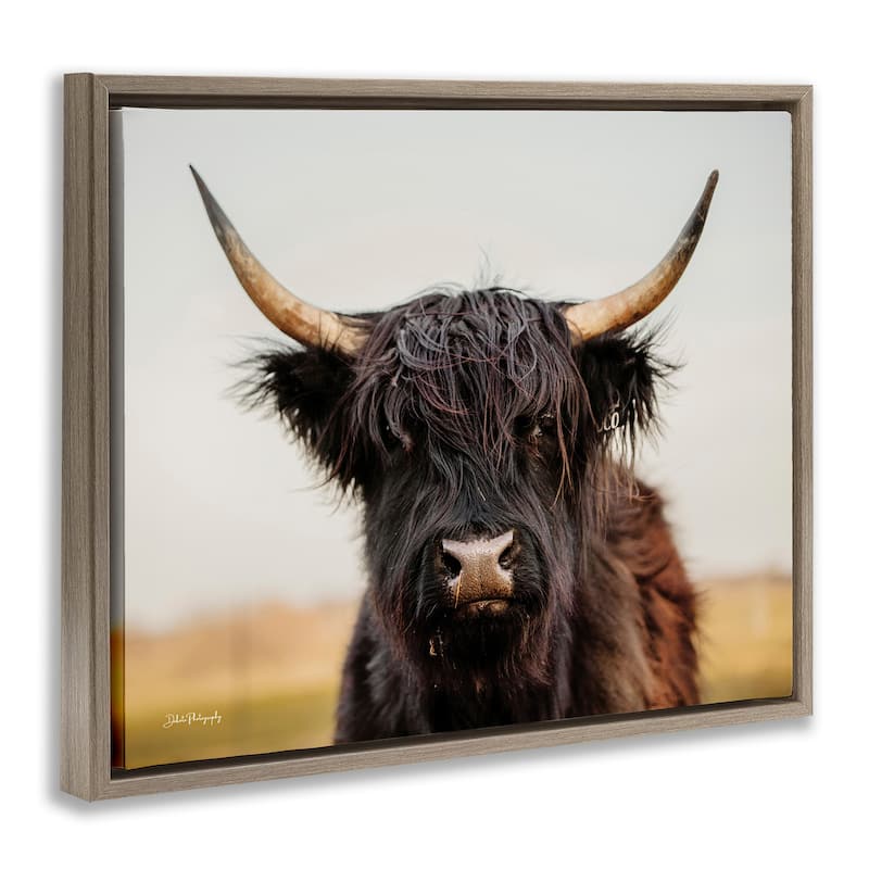 Stupell Black Highland Cow Portrait Framed Floater Canvas Wall Art Design by Dakota Diener
