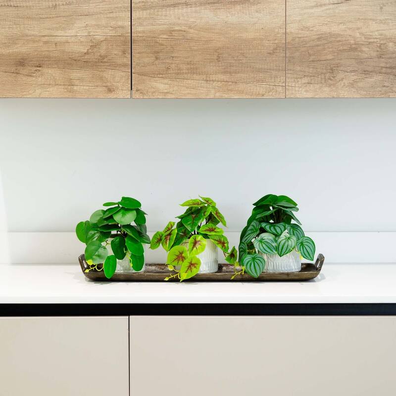 Mixed Artificial Plants with Ceramic Planter - 8' - Green - Set of 3