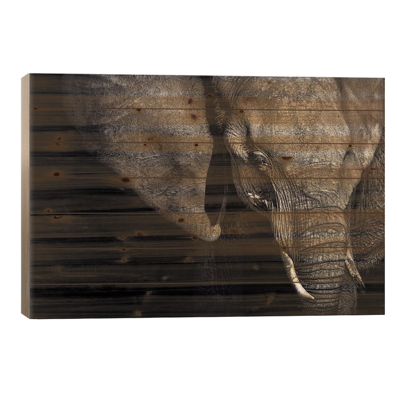 The Matriarch Print On Wood by Piet Flour - Multi-Color - 26x40x1.5