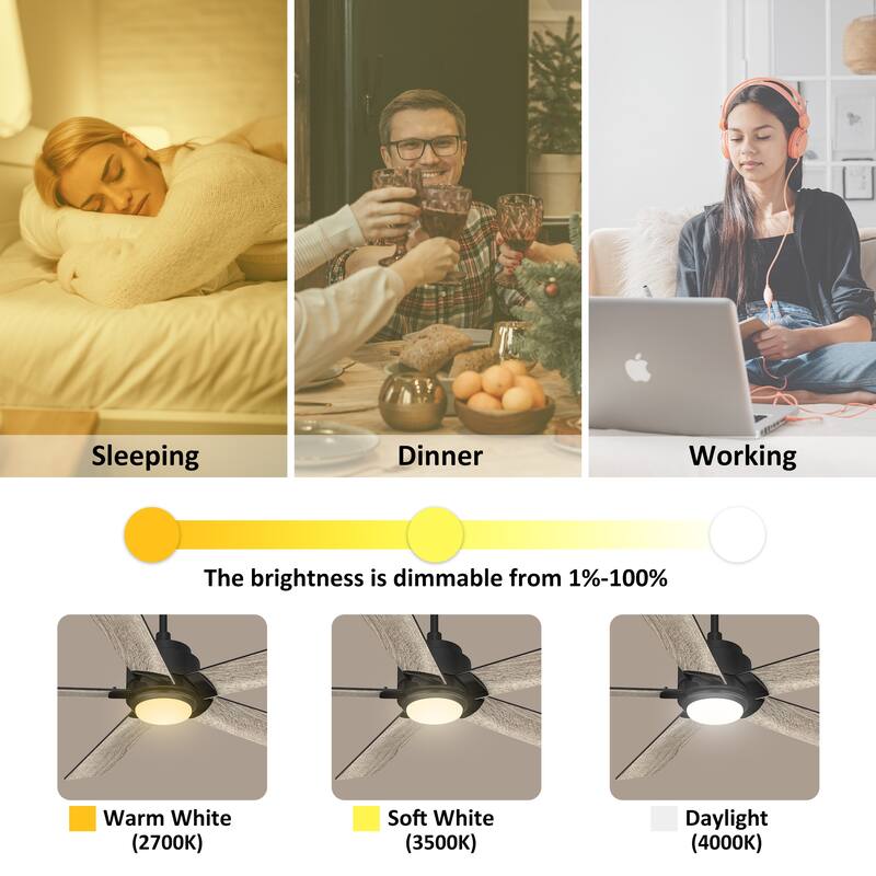 CARRO Livingston 60-inch Indoor Ceiling Fan with LED Light and Remote-Downrod - N/A