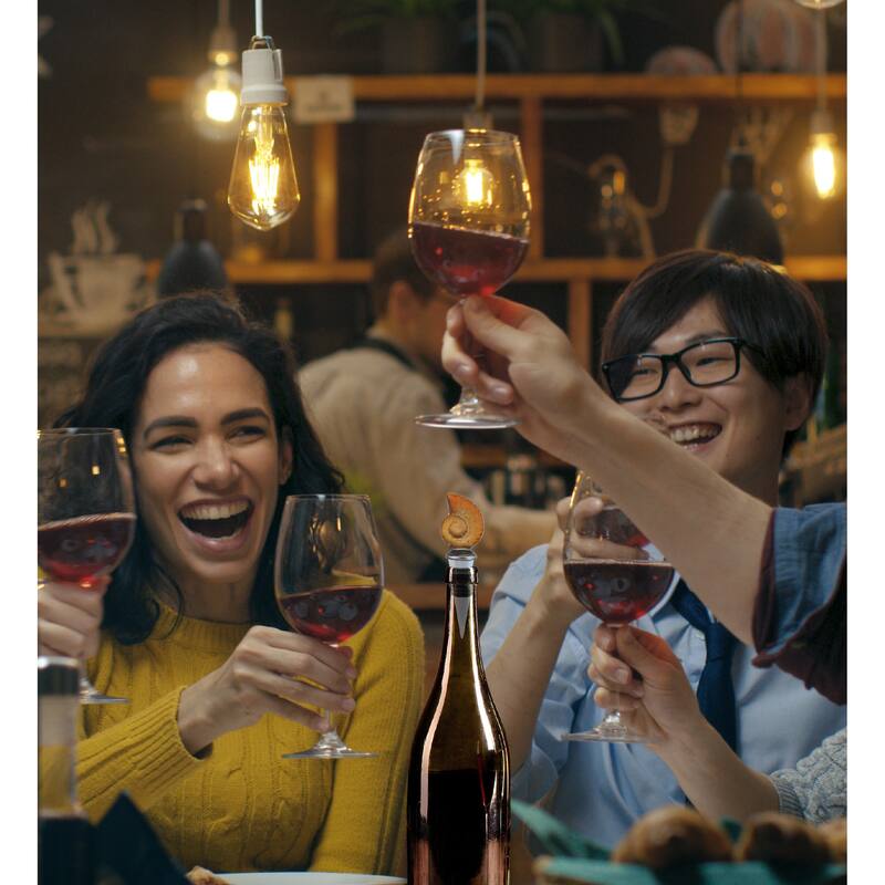Cheers Nautilus Sea Shell Glass Wine Stopper - Vacuum Seal Reusable - 5 inches