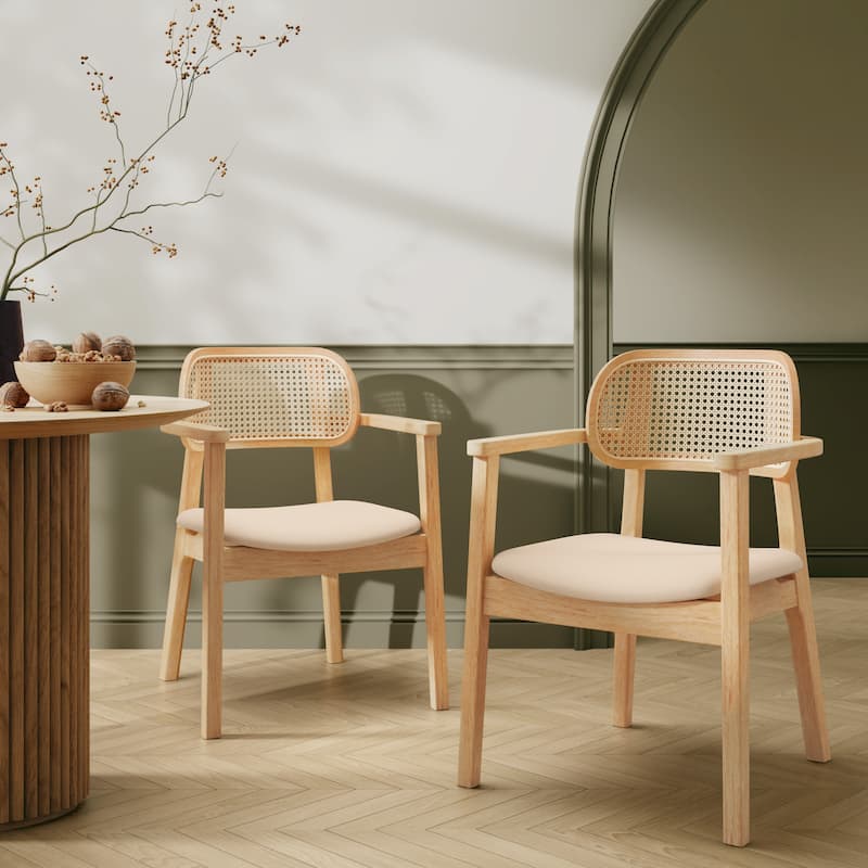 Christopher Knight Home - Sorin Modern Rattan and Upholstered Indoor Dining Chair with Armrest - Set of 2