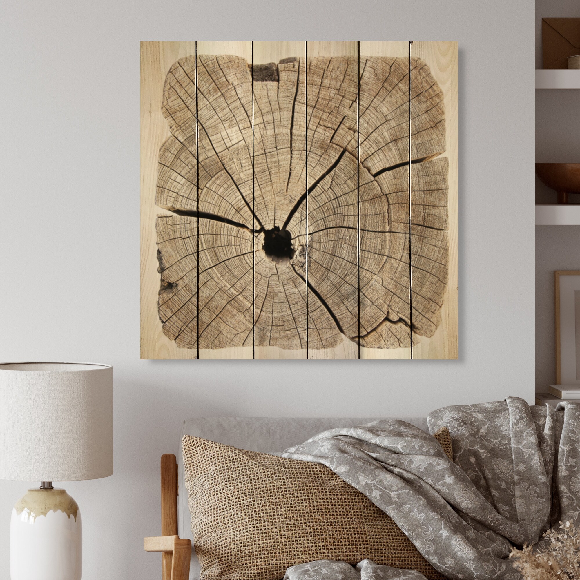 Designart 'Cross Section Of Tree Trunk II' Traditional Wood Wall
