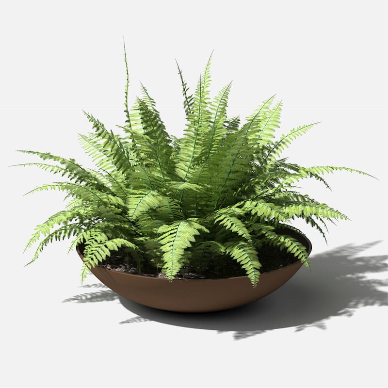 Veradek Pure Series Lane Bowl