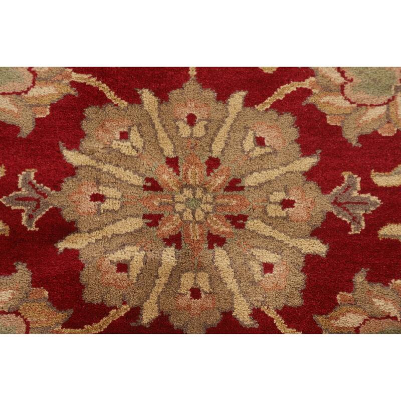 All-Over Floral Agra Oriental Area Rug Handmade Wool Carpet - 8'0" x 10'0"
