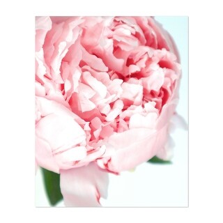 Blush dreamy peony Photography Floral Botanical Rose Art Print/Poster ...