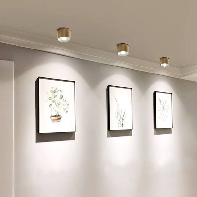 LED Flush Mount Ceiling Light Modern Light Fixtures Ceiling