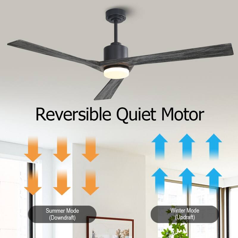 WINGBO 64" DC Motor Indoor Ceiling Fan with LED Light & Remote
