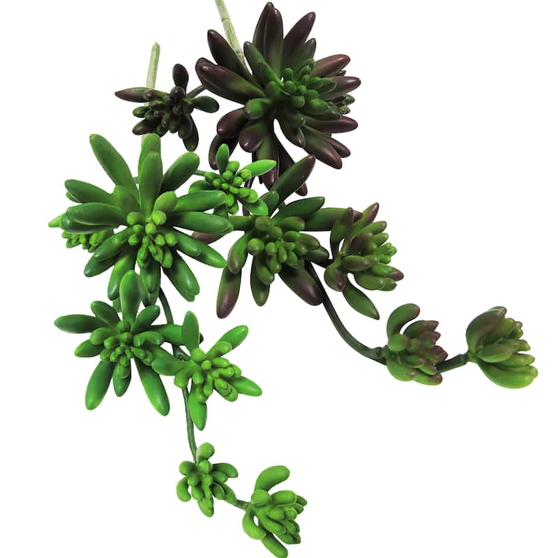 Set of 2 Natural Touch Artificial Echeveria Succulent Stem Plant Greenery Pick Spray Branch 12.5in - 12.5" L x 5" W x 4" DP