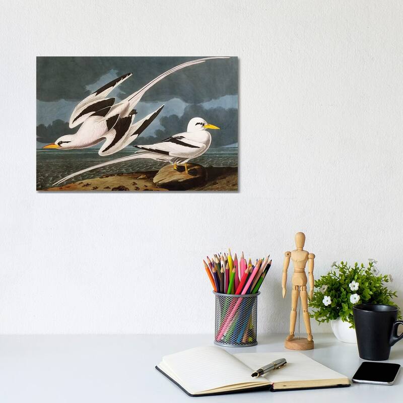 iCanvas "Tropic Bird plate CCLXII from 'The Birds of America'" by John James Audubon Canvas Print - 8x12x0.75