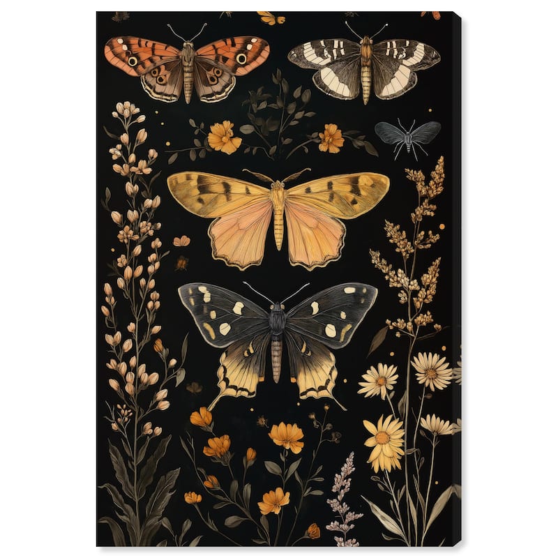 Winged Visitors II Canvas by Art Remedy, Gallery Wrapped - 36" x 54"