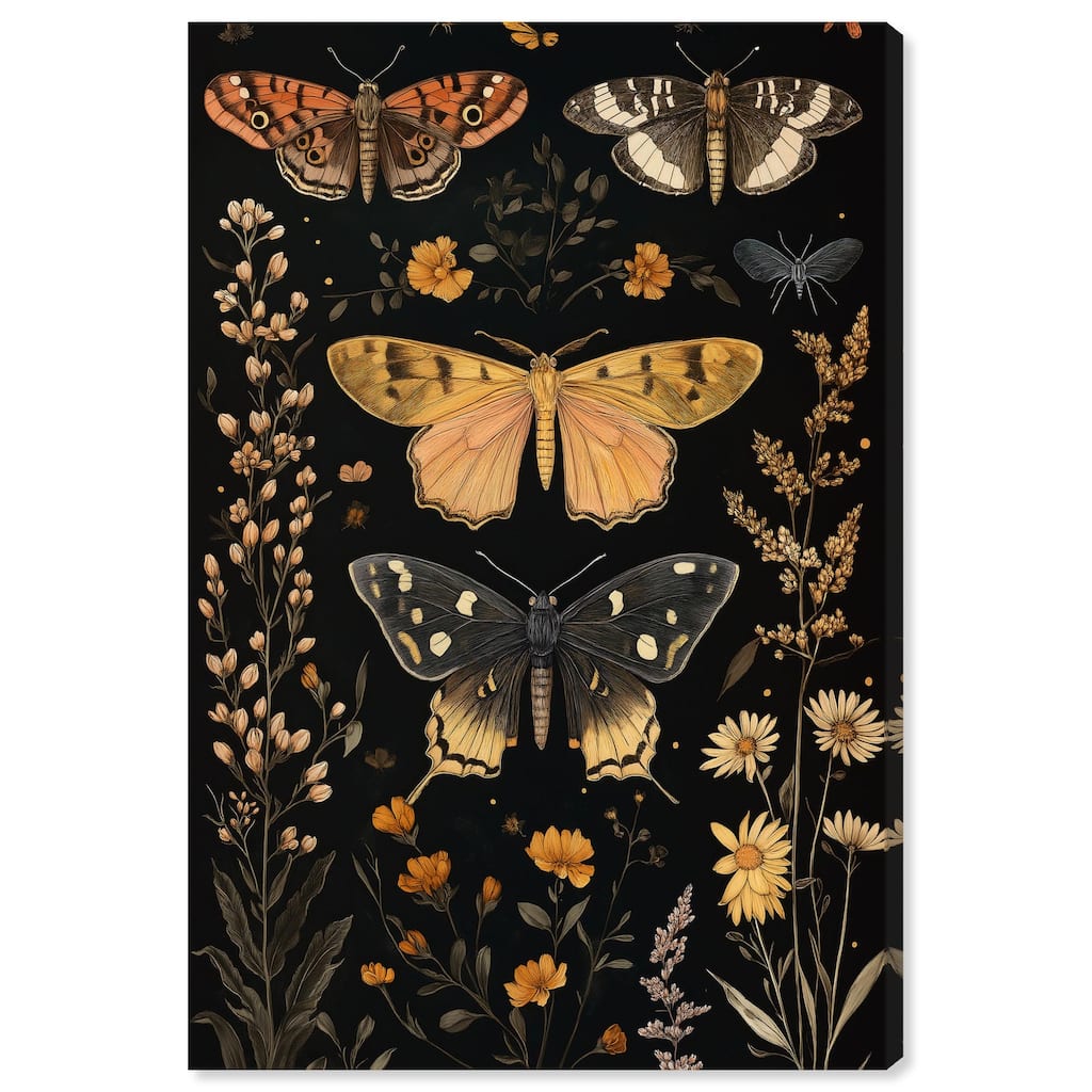 Winged Visitors II Canvas by Art Remedy, Gallery Wrapped