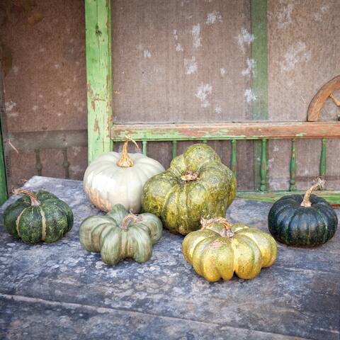Green Heirloom Pumpkin Collection, Set of 6, Assorted Styles - 5.5" x 4" to 7.5" x 7"