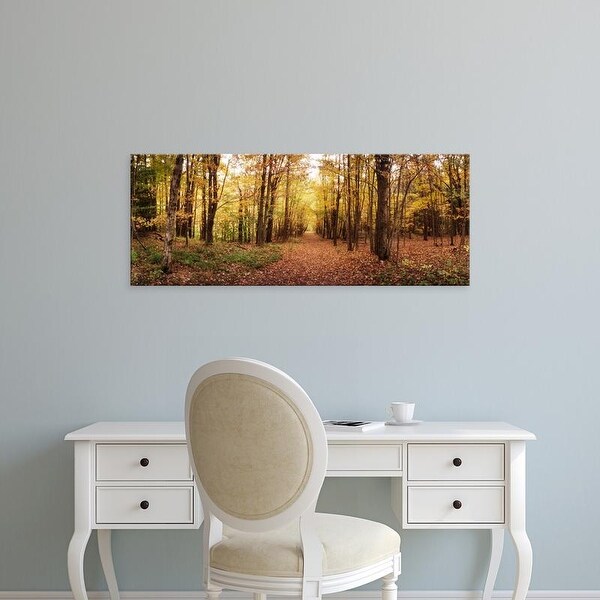 Easy Art Prints Panoramic Images's 'Trail through Catskills in Kaaterskill Falls in Autumn, New York State' Canvas Art