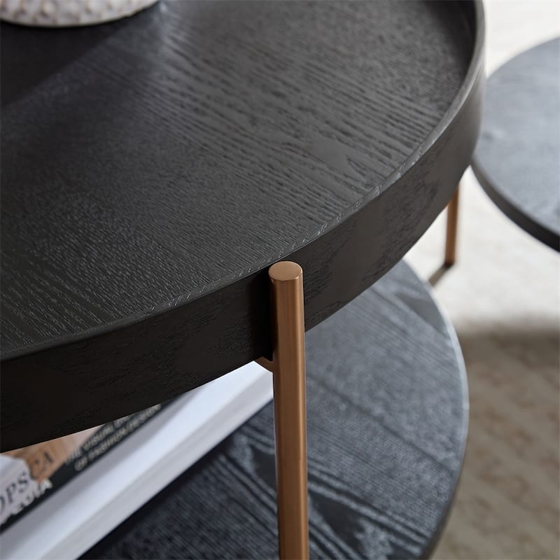 2-Piece Modern 2 Tier Round Coffee Table Set for Living Room