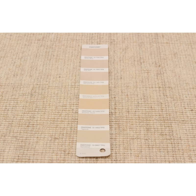 Kashkuli Gabbeh Cream Rug 7'10" x 11'1" - 7'10 x 11'1