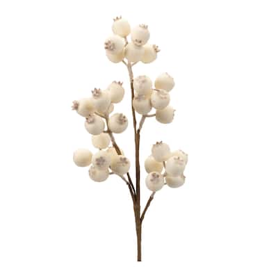 Beaded Berry Spray (Set of 6) - N/A