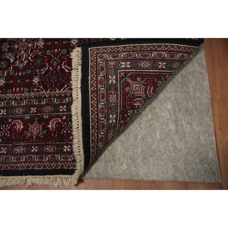 Hand Knotted Oriental 100% Wool Carpet Traditional Floral Black Tabriz-Mahi Area Rug - 9' 0'' X 5' 11''
