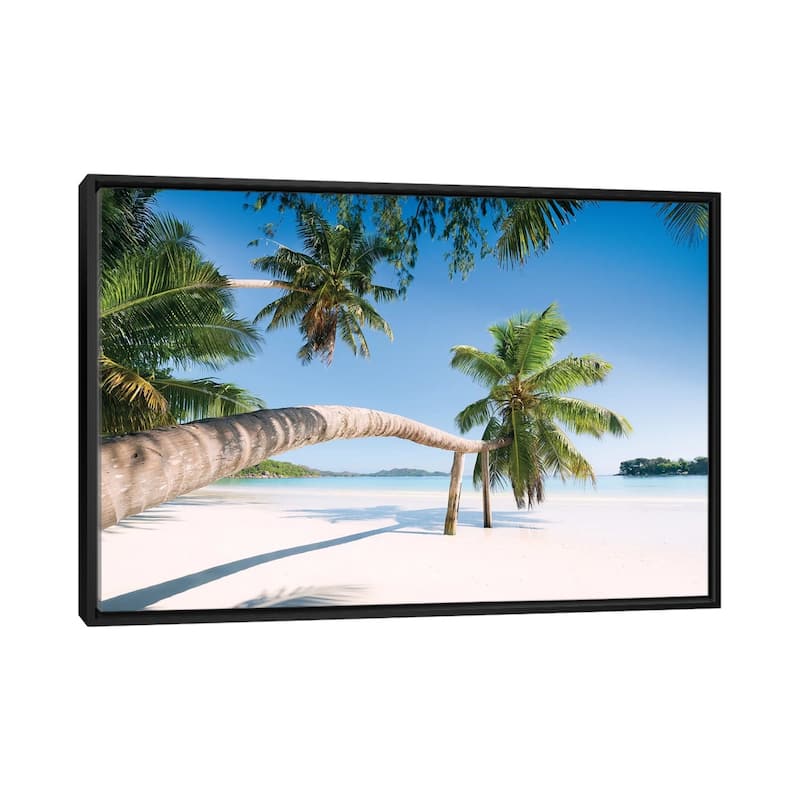 "Palm, Seychelles" by Stefan Hefele Framed - Black - 32x48