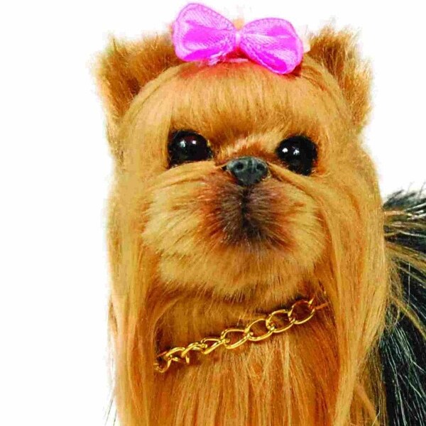 american girl yorkie dog