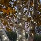 preview thumbnail 3 of 8, Solar Powered 125 LED String Light - Warm White