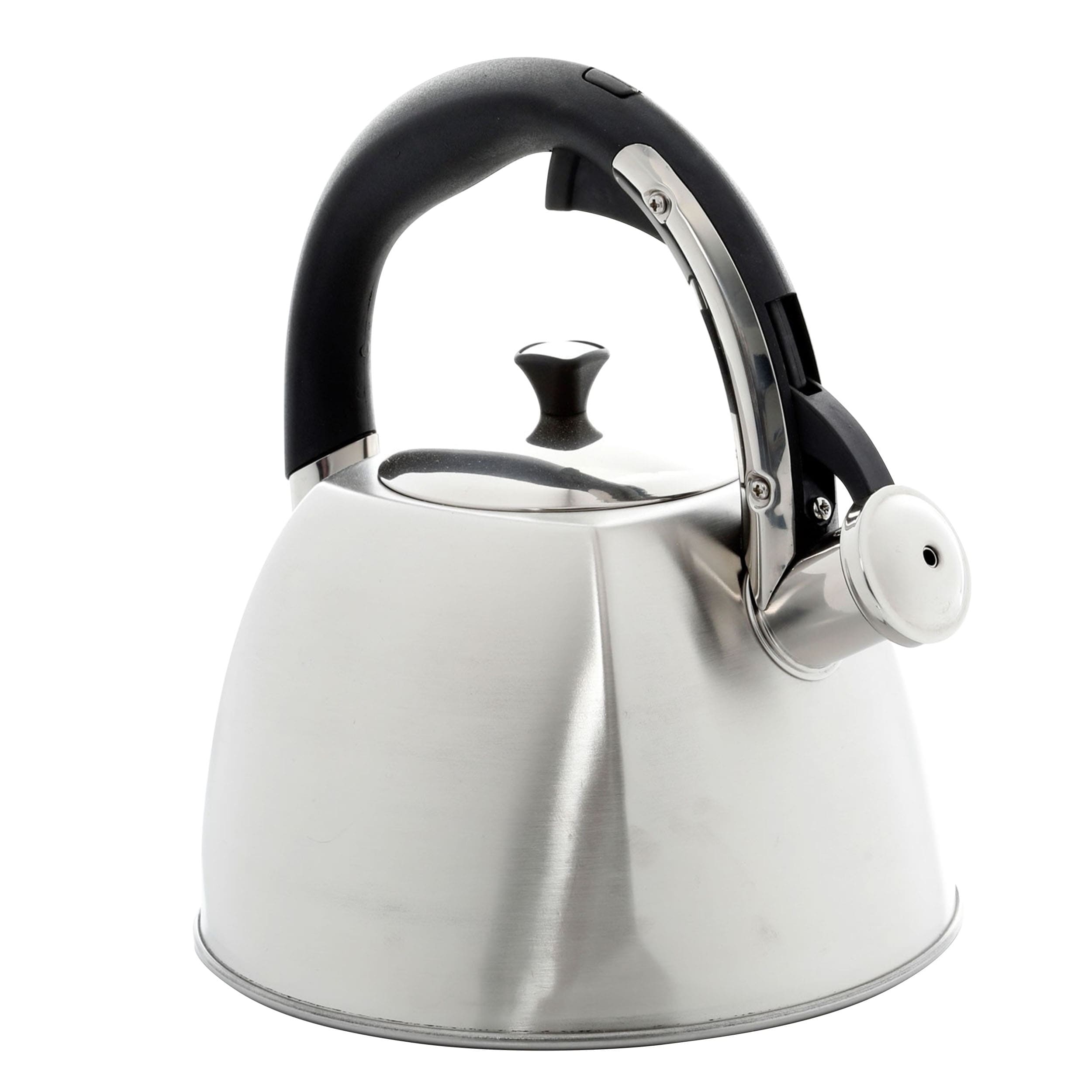 brushed stainless steel kettle