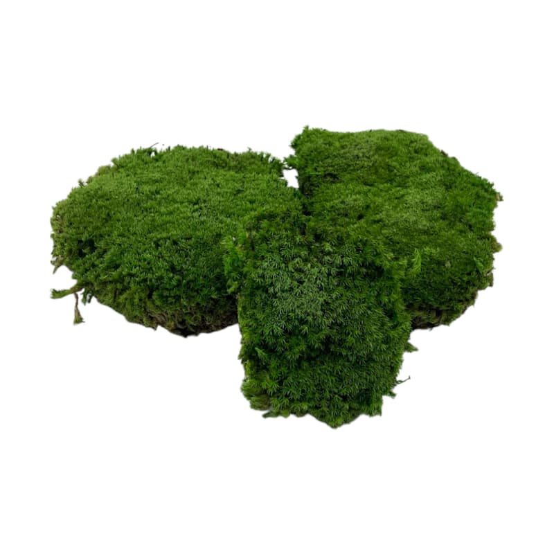 Preserved Pole Bun Pillow Cushion Moss - 15X12