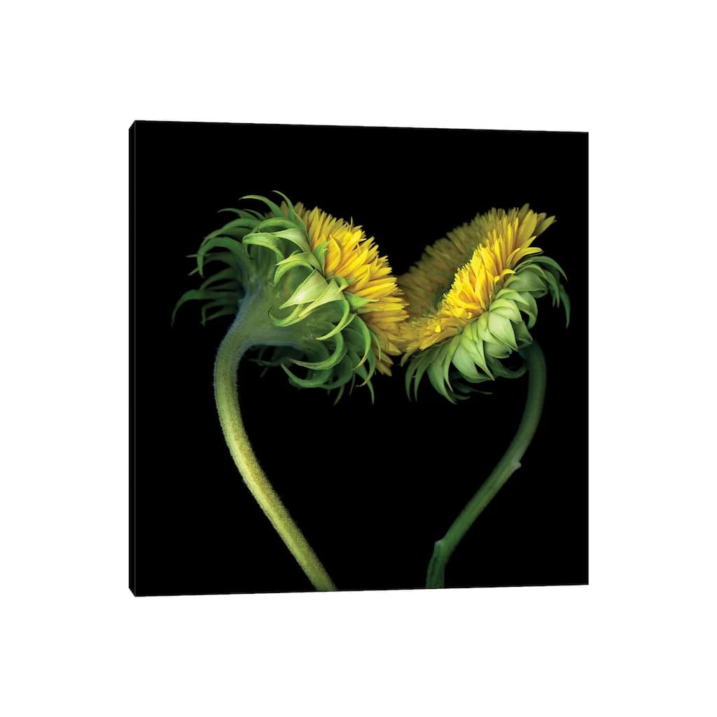 iCanvas "Sunflower X" by Magda Indigo Canvas Print