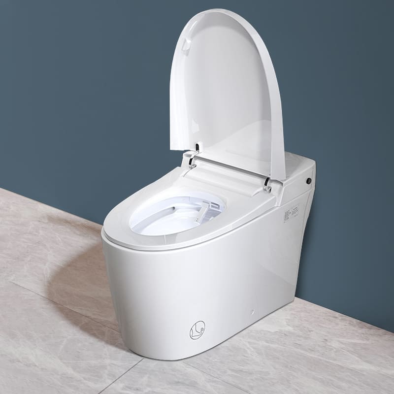 Topcraft Bathroom One Piece Toilet Smart Toilet with Warm Air Dryer Heated Seat