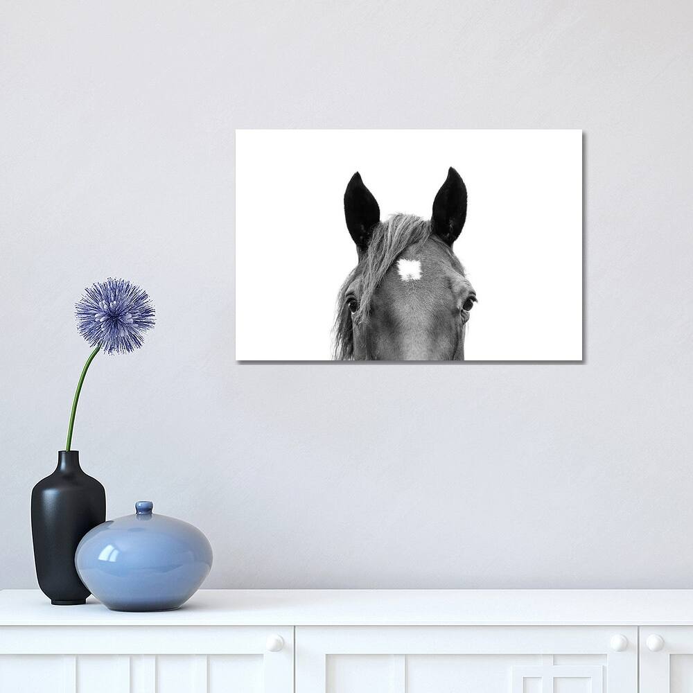 iCanvas "Peeking Horse In Black & White" by Sisi & Seb Canvas Print
