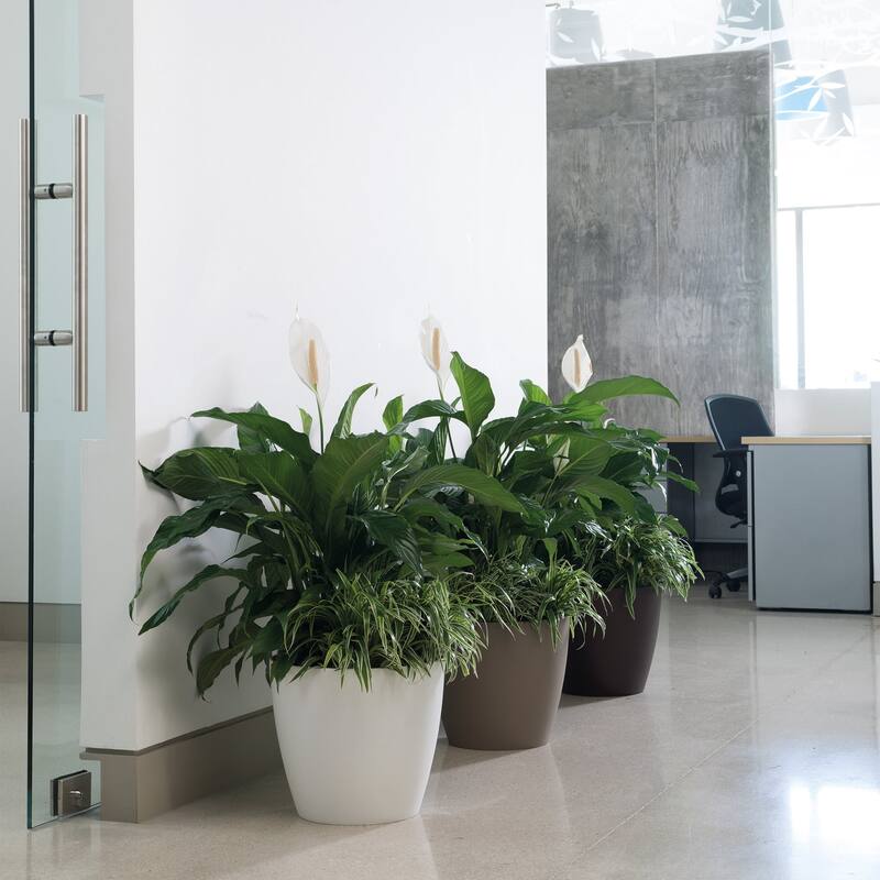 Eva Modern Houseplant Pot, Large Modern Pots for Indoor Plants