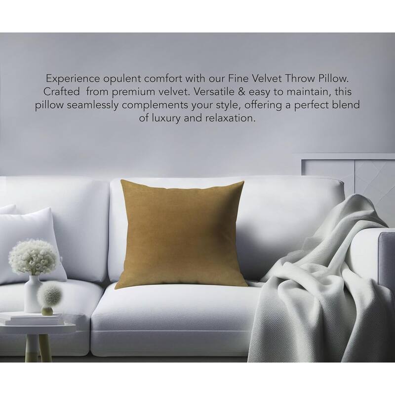 A1HC Velvet Throw Pillow Insert, Hypoallergenic Down Alternative Fill, Pack of 1