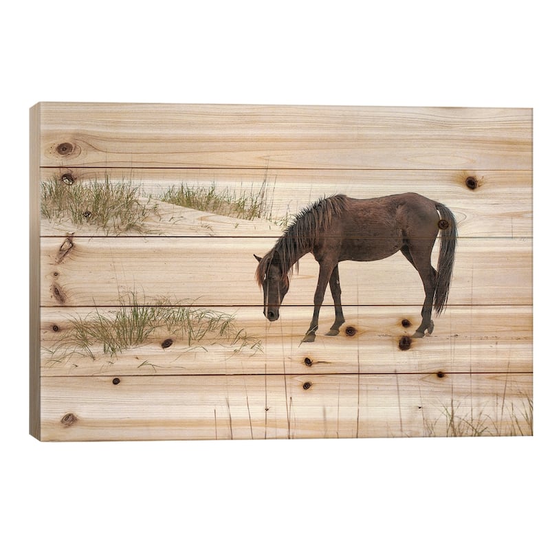 Lone Banker Horse On The Beach, Currituck National Wildlife Refuge, North Carolina, USA Print On Wood by Michael DeFreitas - 18x26x1.5